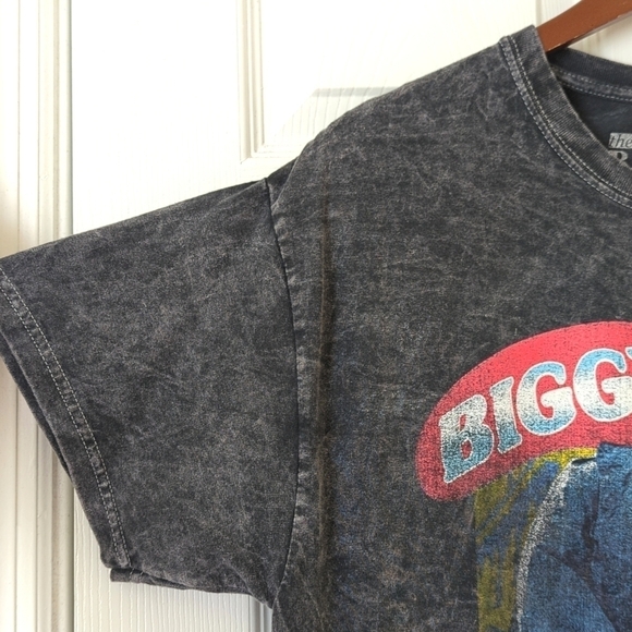 The Notorious B.I.G. Biggie Smalls Graphic Short Sleeve Crewneck T-shirt Gray L - Picture 5 of 9